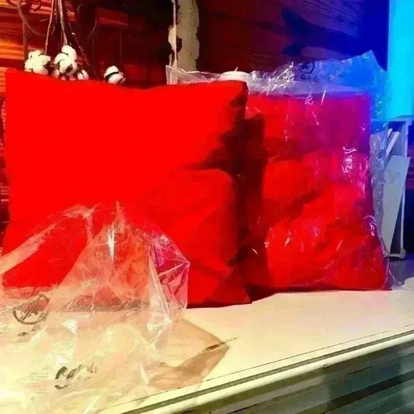 NWT TWO Outdoor Throw Pillows - Picture 2 of 5